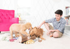 A young man sits on a white carpet in a bright room, petting two golden retriever puppies playing with a small plush toy and toys on the floor. A bright pink tufted sofa is visible in the background on the left.