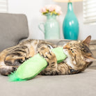 Cat playing with a green toy on a couch in a living room setting.