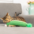 Cat playing with a green toy on a couch