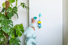 A child in a light blue hooded robe reaches for colorful wall hooks mounted on a white wall, with a large green houseplant visible on the left.