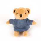 Stuffed teddy bear wearing a blue sweater on a white background