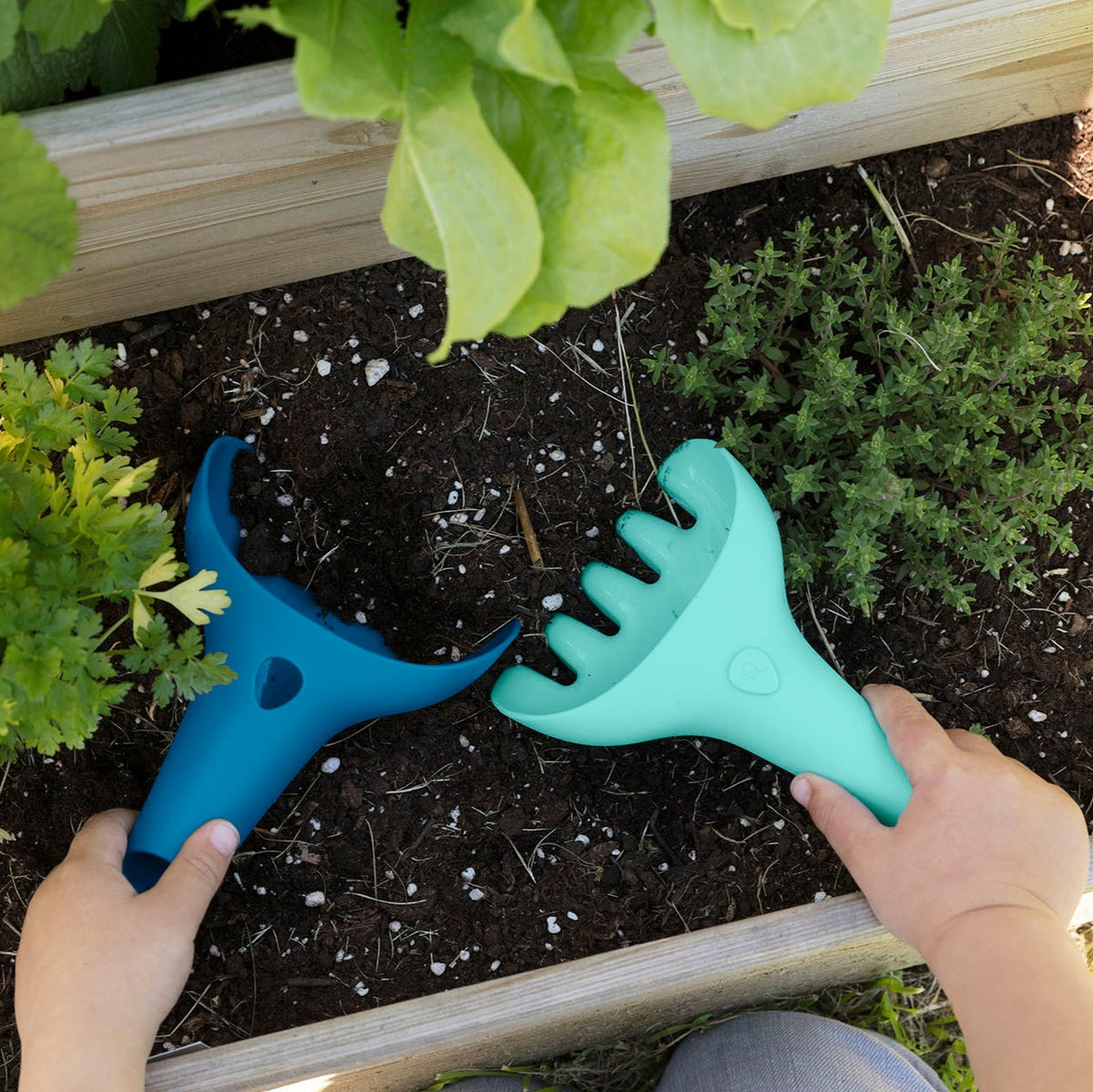 Two gardening tools, a blue and a green one, being used in a garden bed with plants.
