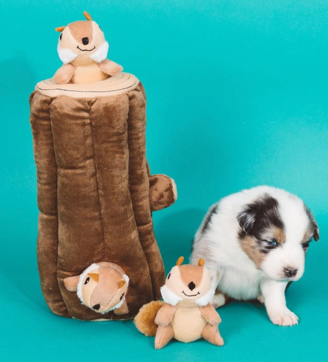 A brown plush dog toy shaped like a tree stump with squirrel faces, shown with a small puppy and two plush squirrels on a bright turquoise background.