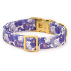 Floral-patterned dog collar with gold hardware on a white background