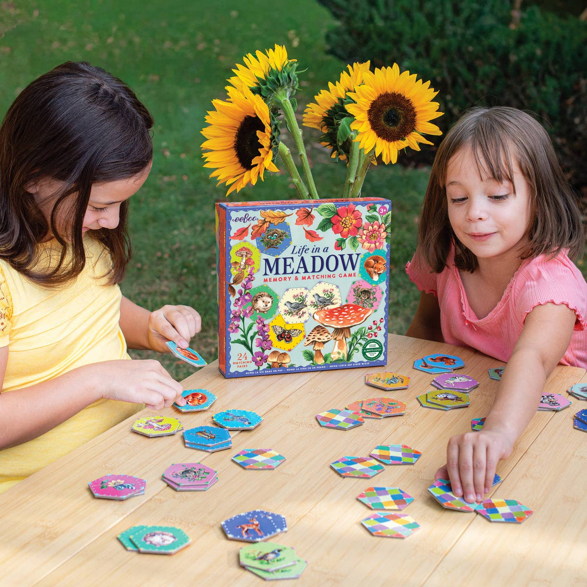 Two children playing with a board game titled 'Life in a Meadow' outdoors.