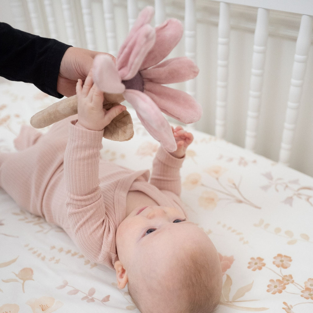 Baby lying on a floral blanket reaching for a pink plush toy held by an adult.