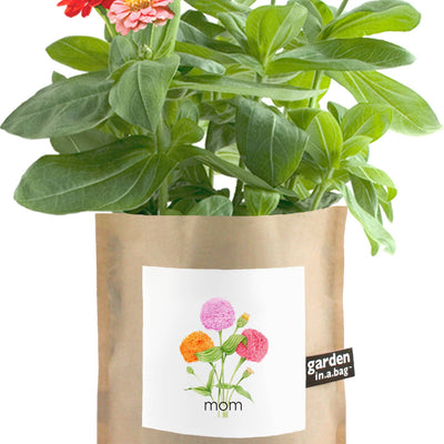 Garden in a Bag - Mom by Potting Shed Creations