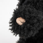Close-up of a black pom-pom with a beige center on a white background