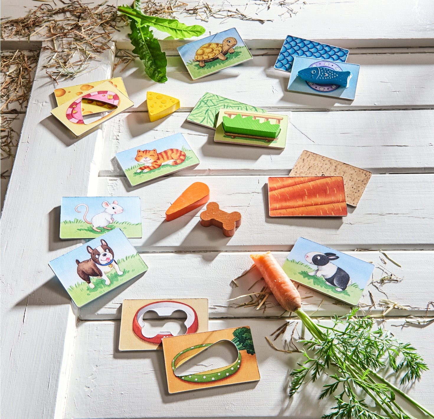 Colorful animal-themed wooden blocks on a white wooden surface with greenery.