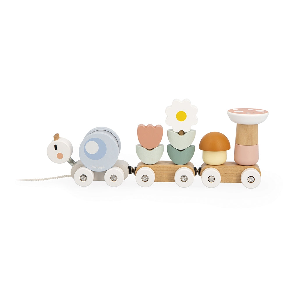 Set of colorful wooden toys on wheels with a white background
