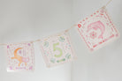 Three decorative hanging pennants strung together against a plain light wall. The center pennant shows the number 5 in green with the word Cinco, and the side pennants have pastel illustrations with text including AXOLOTL and DELIN ROSSO.