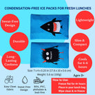 Shark-themed ice pack for lunches with features and usage instructions on a blue background