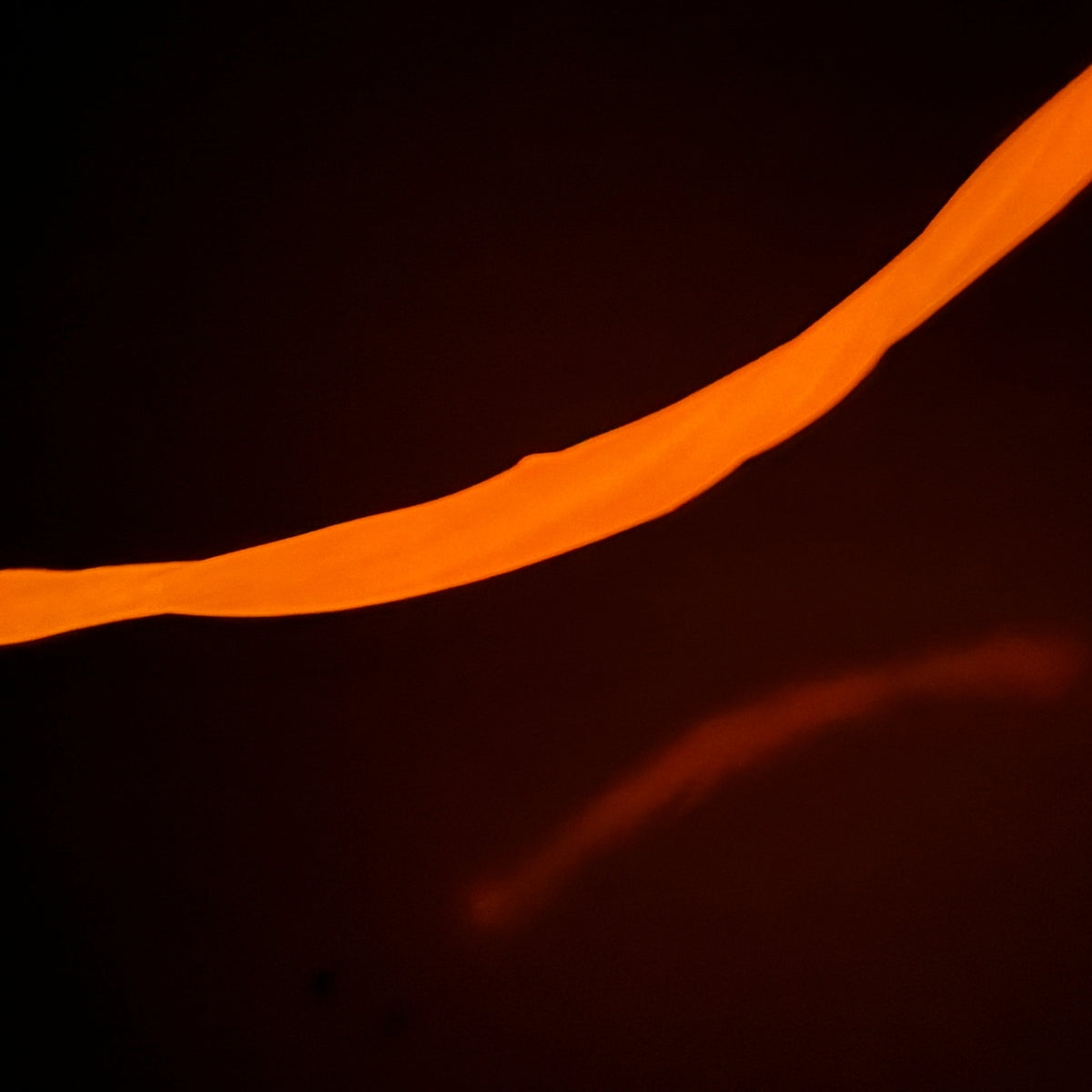 A close-up of a glowing orange fiber optic cable or light strip against a dark black background.