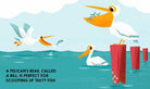 Illustration of pelicans in water with text about their beaks.