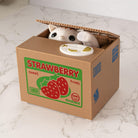 Stuffed animal peeking out from a cardboard box labeled 'Strawberry Orchard' on a marble surface.