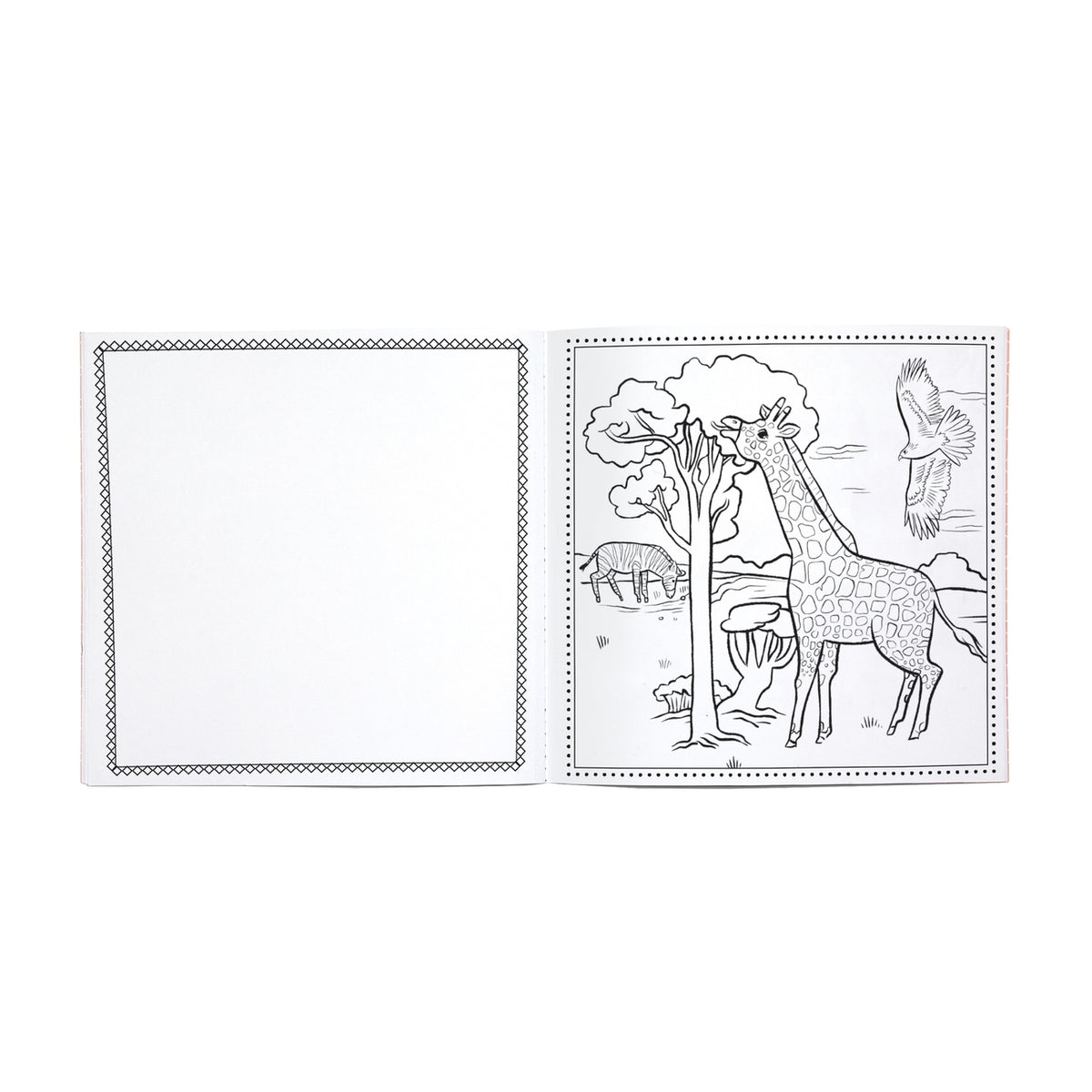Two coloring pages with a giraffe and a bird on a white background
