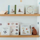 Shelf with various books and a wooden bear figurine against a light blue wall.