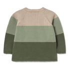A long-sleeve knit sweater with horizontal color-blocked stripes in beige, sage green, and olive green, shown from the back on a white background.