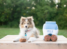 A fluffy dog sits on a wooden table outdoors next to a plush toy shaped like a milk carton labeled 'MILK' with two plush chocolate cookies.