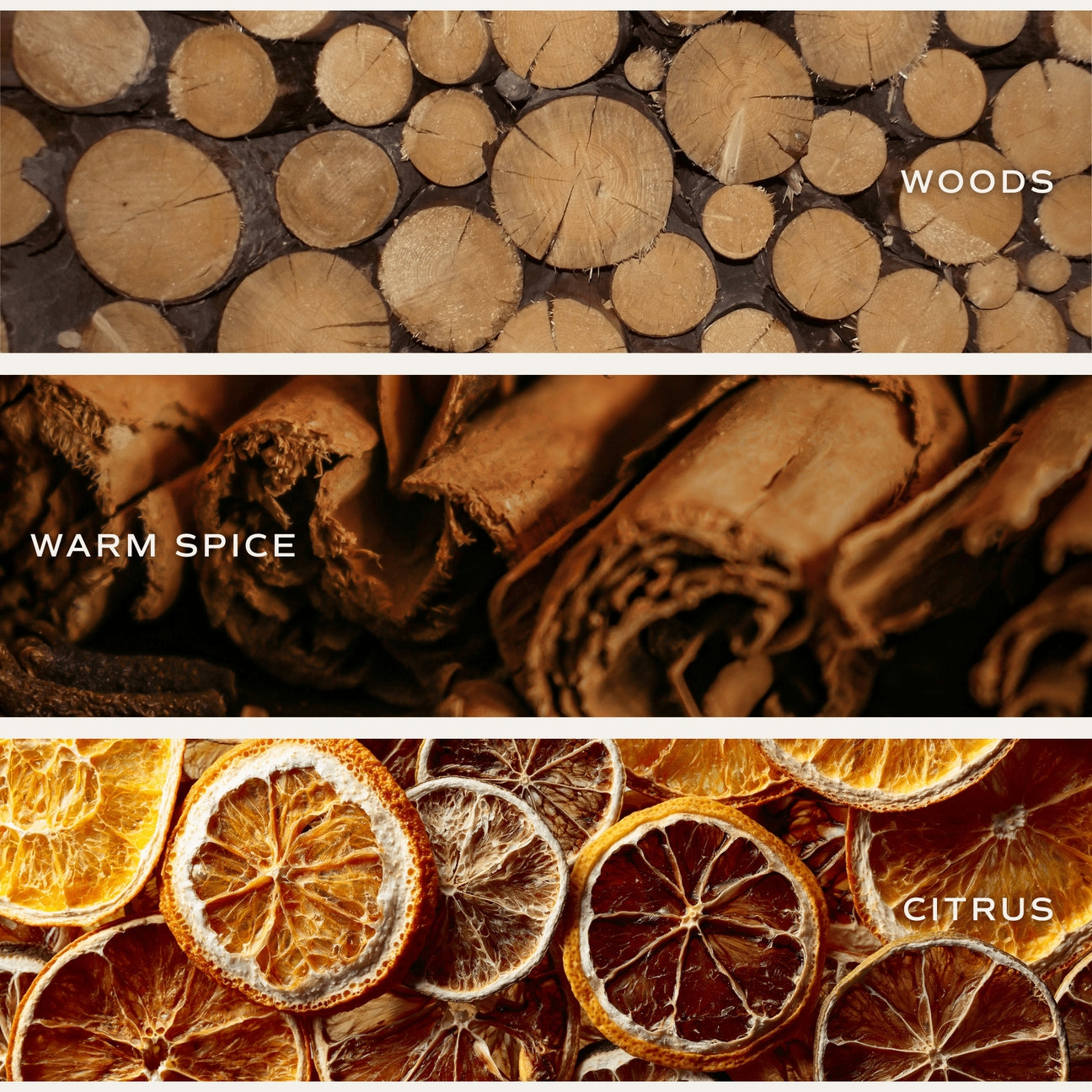 Three horizontal panels showing warm, dried natural scent ingredients: stacked wood logs labeled WOODS, rolled warm spices labeled WARM SPICE, and dried citrus slices labeled CITRUS, all in a warm brown color palette.