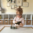 Child playing with toys in a room with shelves and framed pictures on the wall.