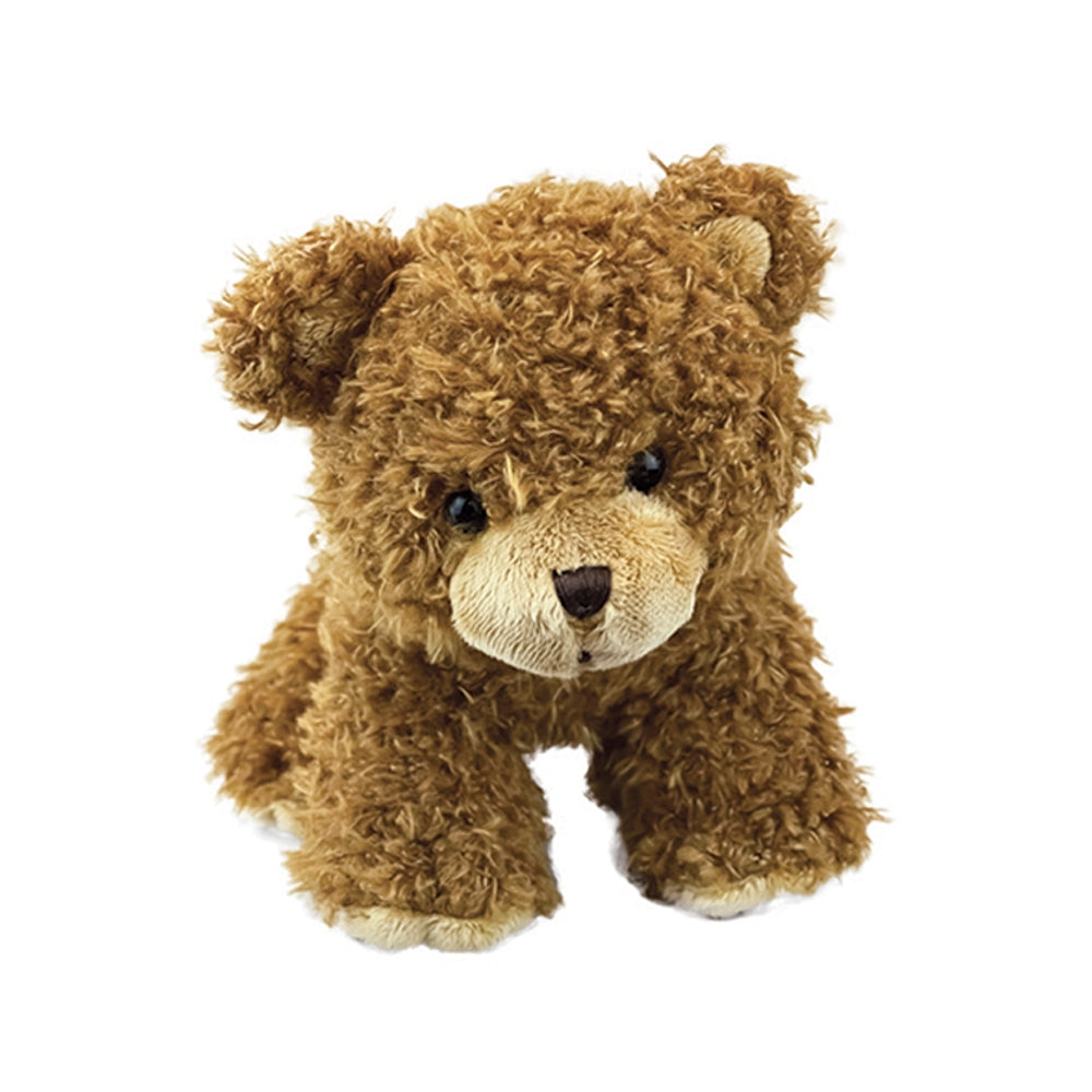 Brown teddy bear on a white background
