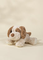 Plush dog toy on a beige background