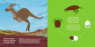Illustration of a kangaroo and a turtle with text on a green background