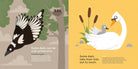 Illustration of a magpie and swan with text on a green and yellow background
