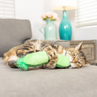 Cat playing with a green toy on a couch in a living room setting.