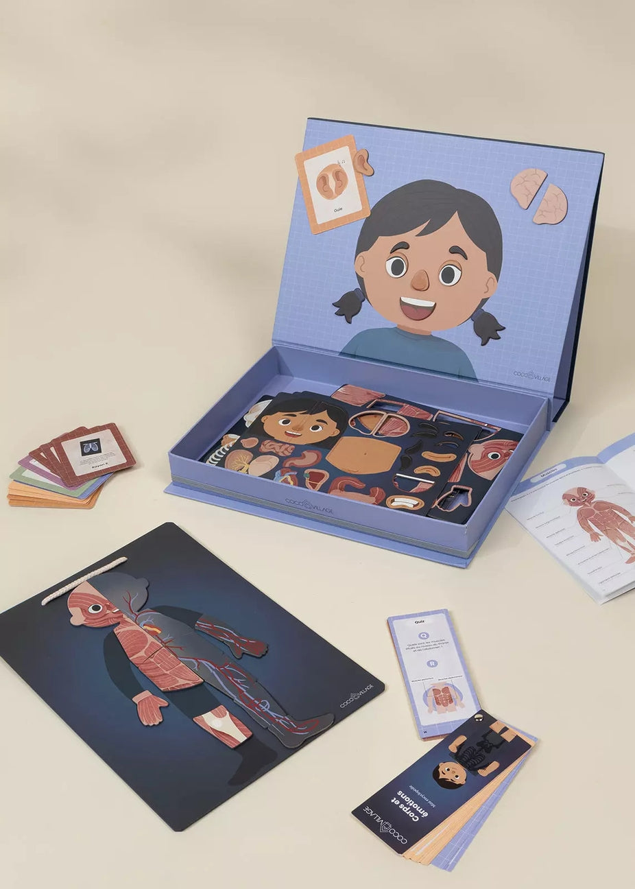 Educational kit with body part cards and a book on a beige background