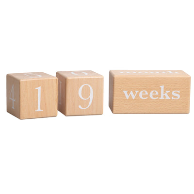 Natural Wooden Milestone Blocks Photo Prop by Pearhead