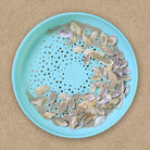 A light blue flying disc and sand sifter filled with sand and small seashells, viewed from above on a sandy surface.