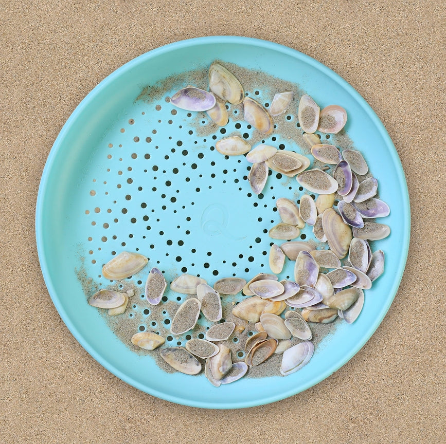 A light blue flying disc and sand sifter filled with sand and small seashells, viewed from above on a sandy surface.