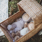 Wicker basket with plush toys on a grassy background