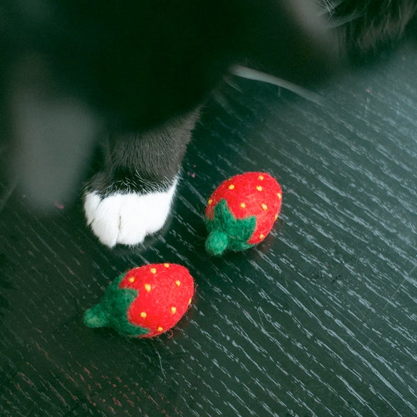 Cat paw with a toy strawberry on a dark surface