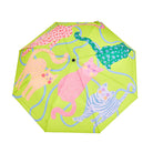 Colorful umbrella with animal patterns on a green background
