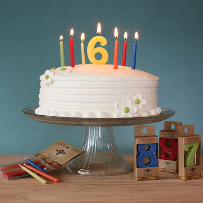 Birthday Number Cake Candle by Big Dipper Wax Works