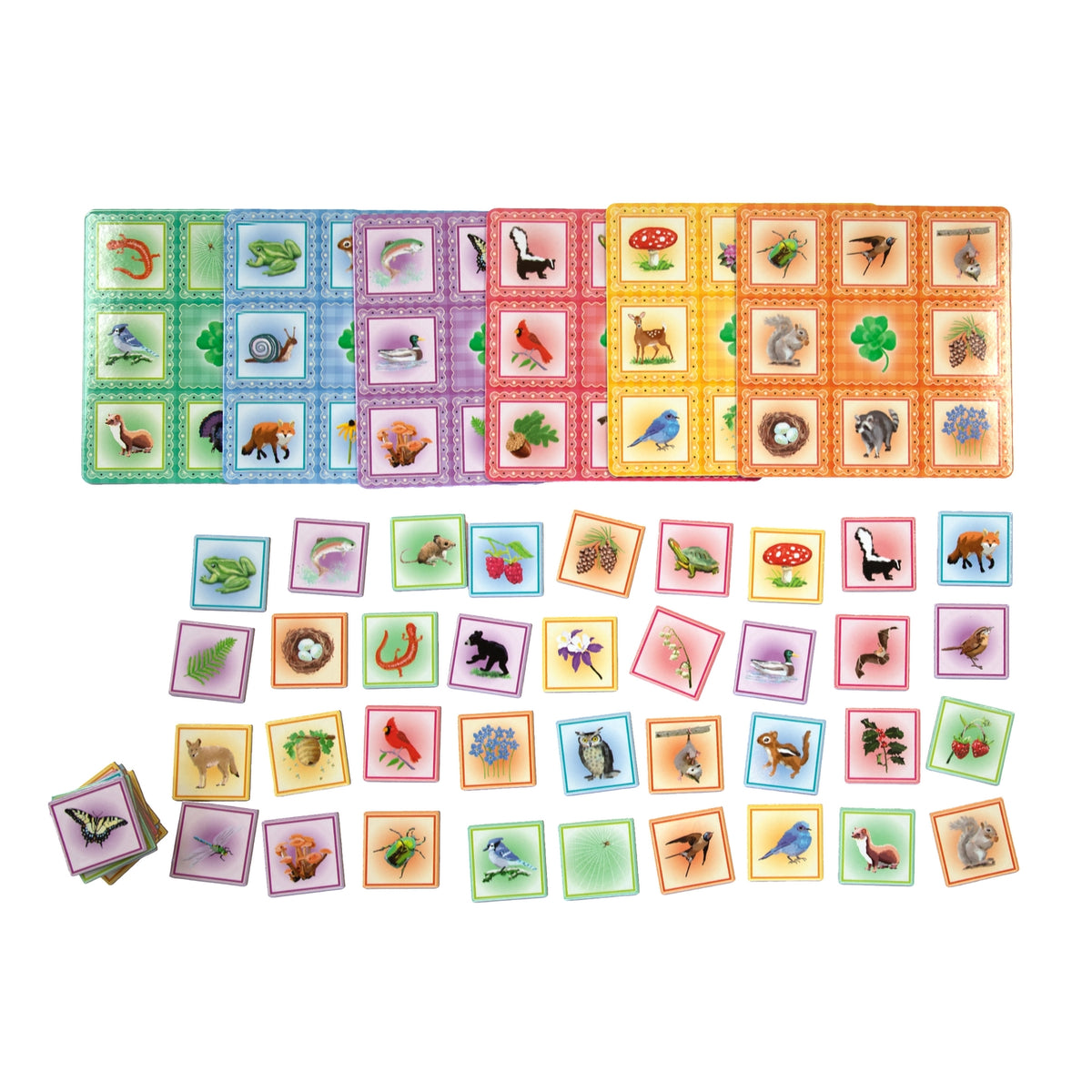 Collection of educational cards with various animals and objects on a white background