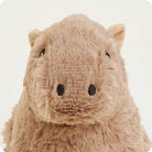 Plush toy hippo on a white background