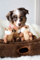 A small brown and white puppy sits behind three plush squirrel toys inside a brown plush pet bed on a white fluffy surface.
