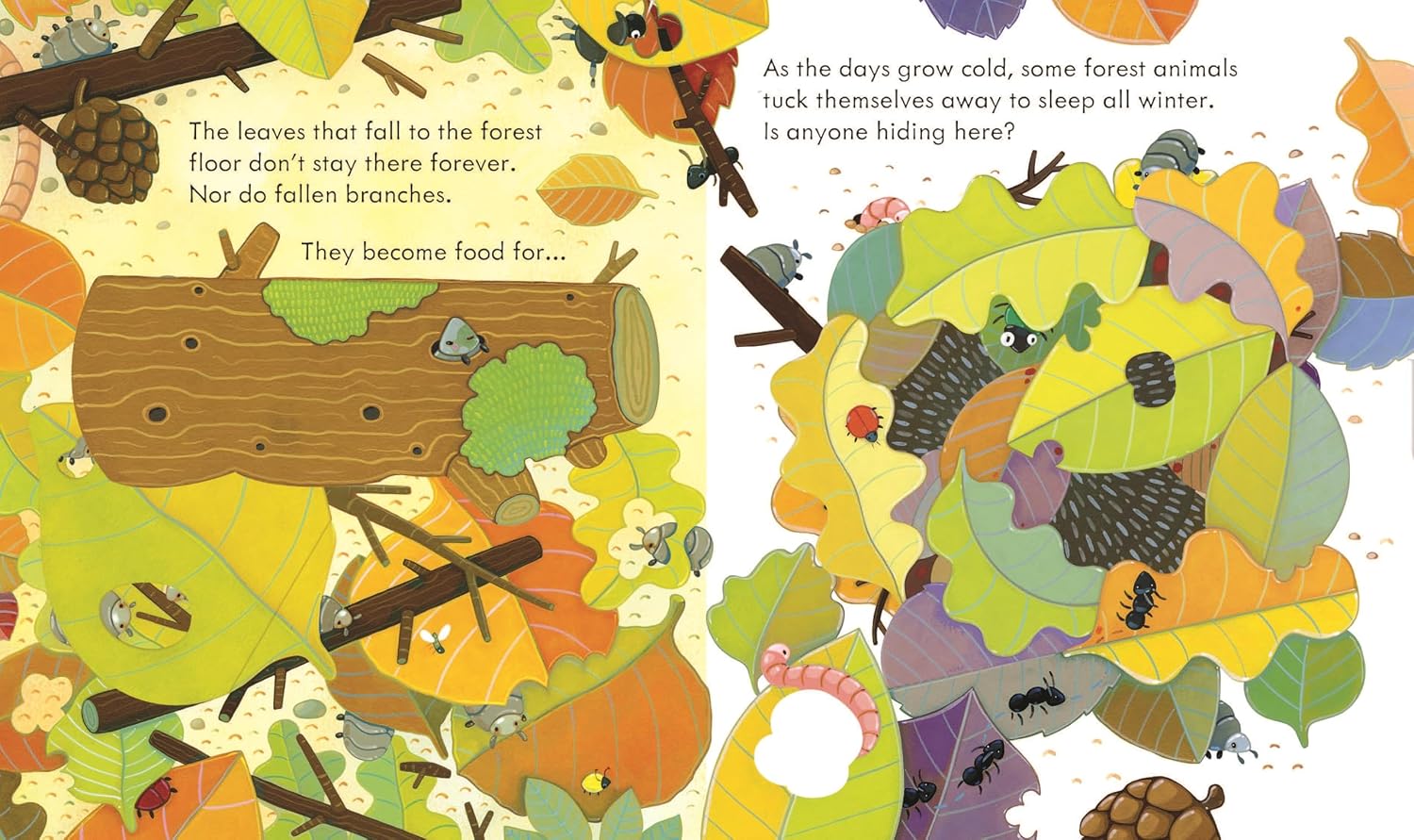 Illustrated page from a children's book about forest animals and nature.