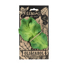 Green leaf toy with 'Kendall the Kale' branding on a decorative packaging background