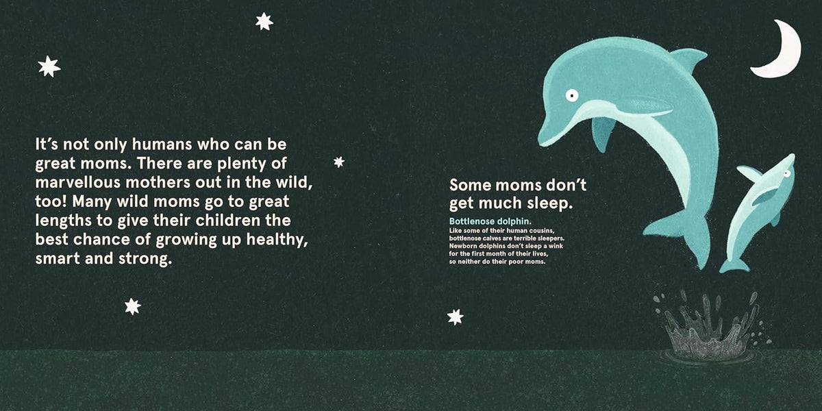 Dolphins with text on a dark background