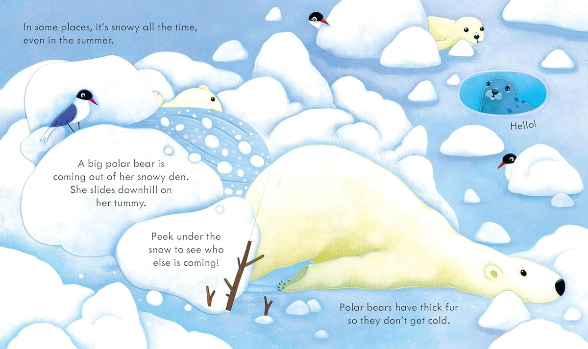 Illustration of a polar bear in an icy landscape with text describing the scene.