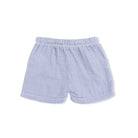 Blue checkered shorts on a white background