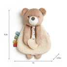 Plush teddy bear toy with measurements on a white background