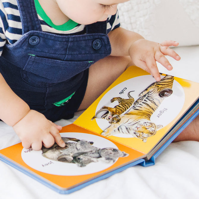 Child reading a book with pictures of tigers