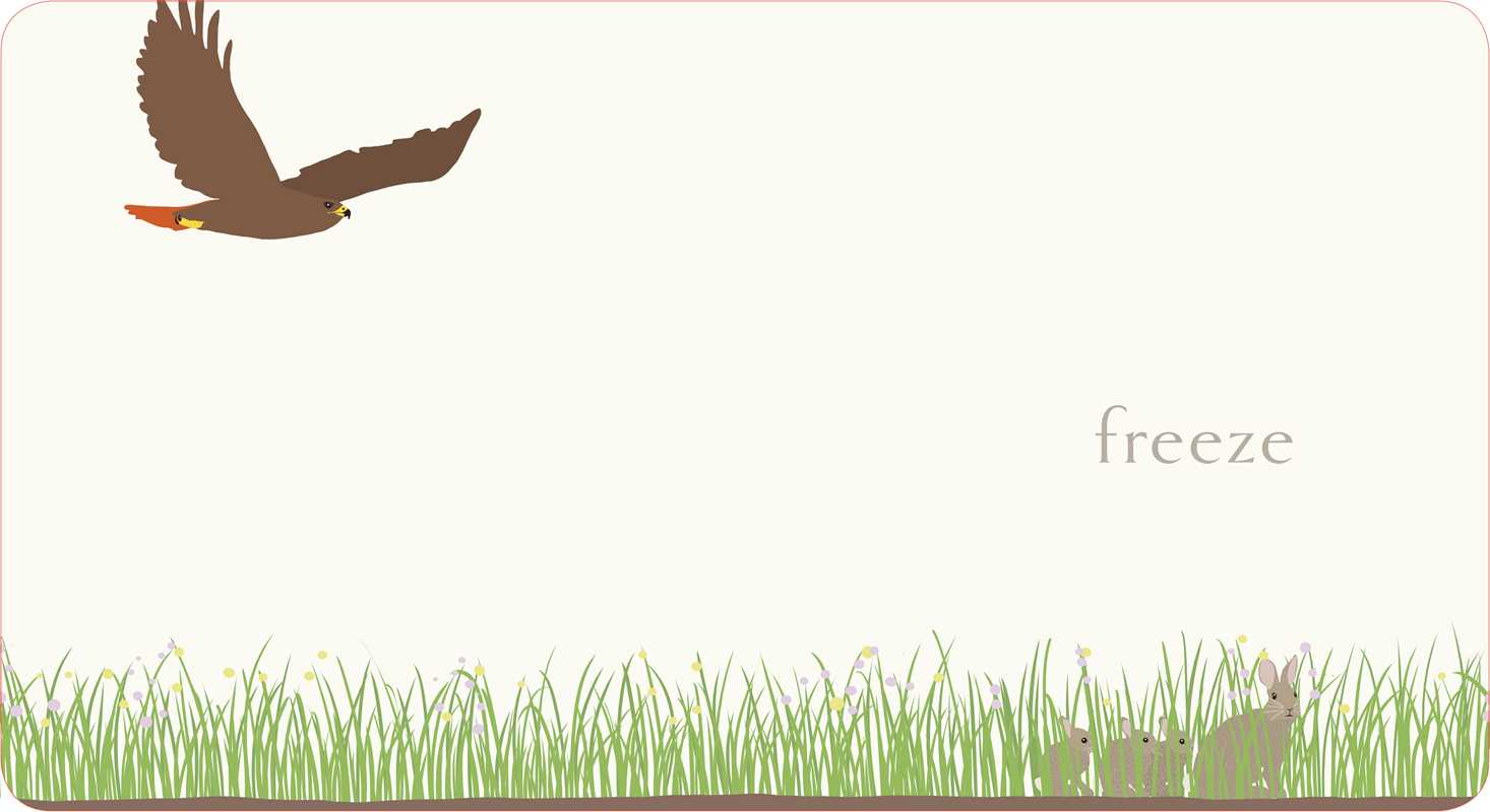 Illustration of a hawk flying over grass with the word 'freeze' below.