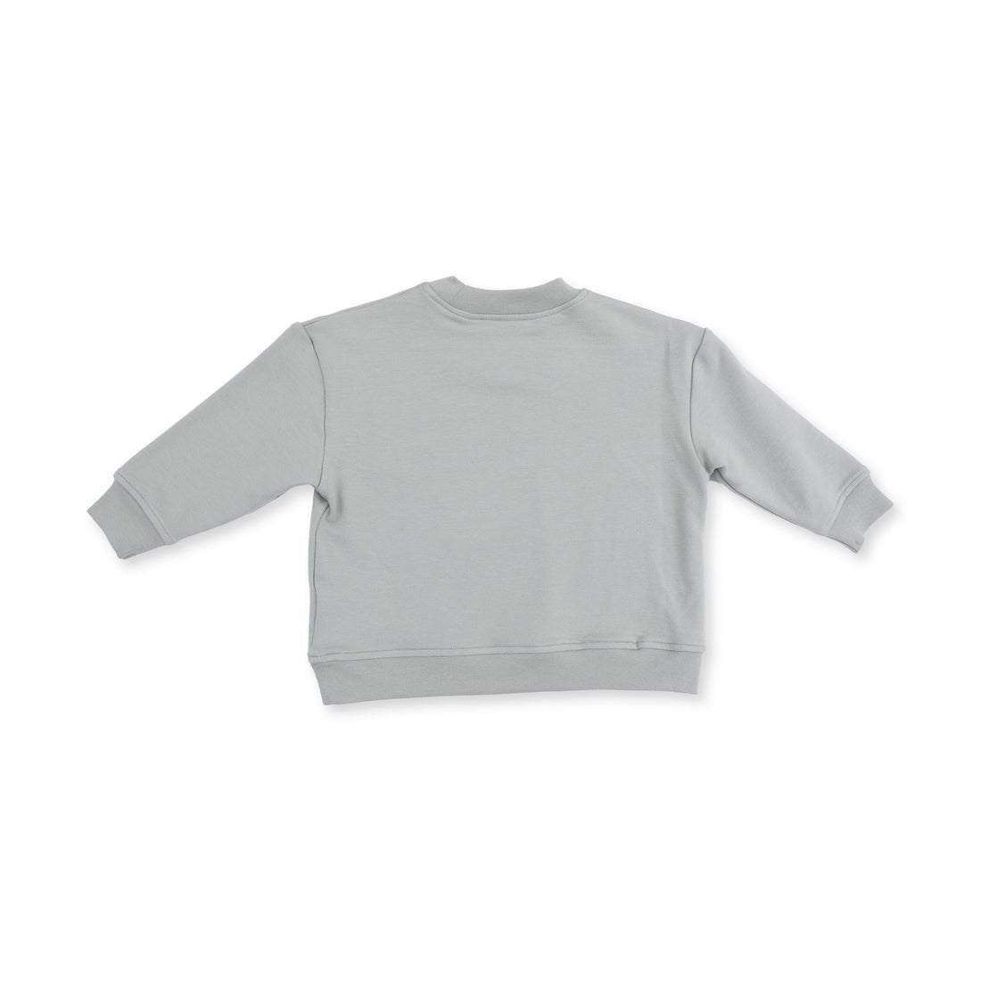 A light gray  long-sleeve crewneck sweatshirt shown from the back, laid flat on a clean white background.